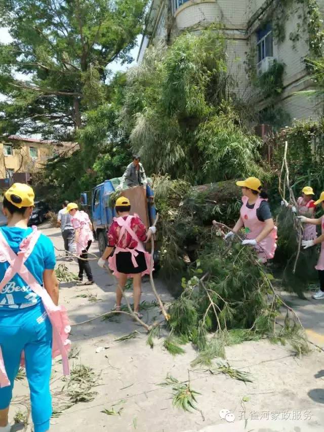 ��������y���������