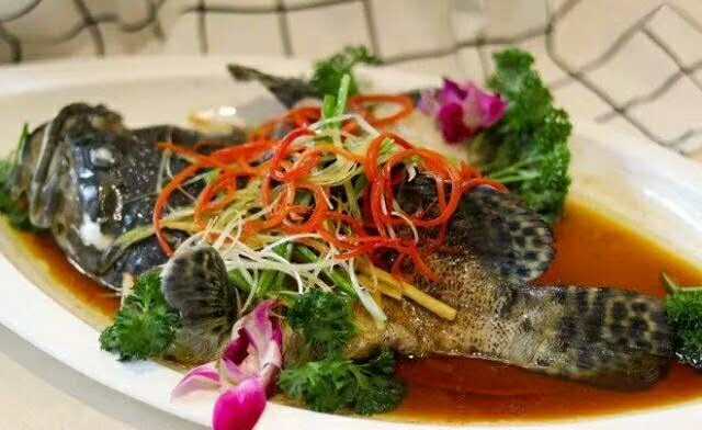 ��ɩ ����(ji��)��ķ����